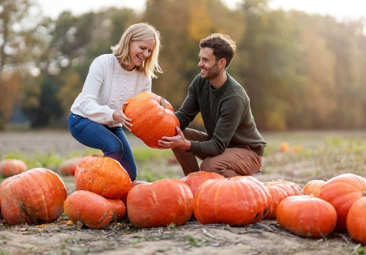 Check Out These Fun Fall Activities in Melbourne, FL